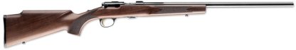 BRN T-BOLT TGT/VRM RFL 17HMR B