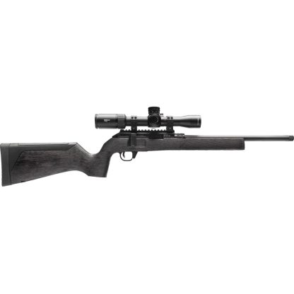 WAI HAM FRC B1 22LR ANTGRY 10R
