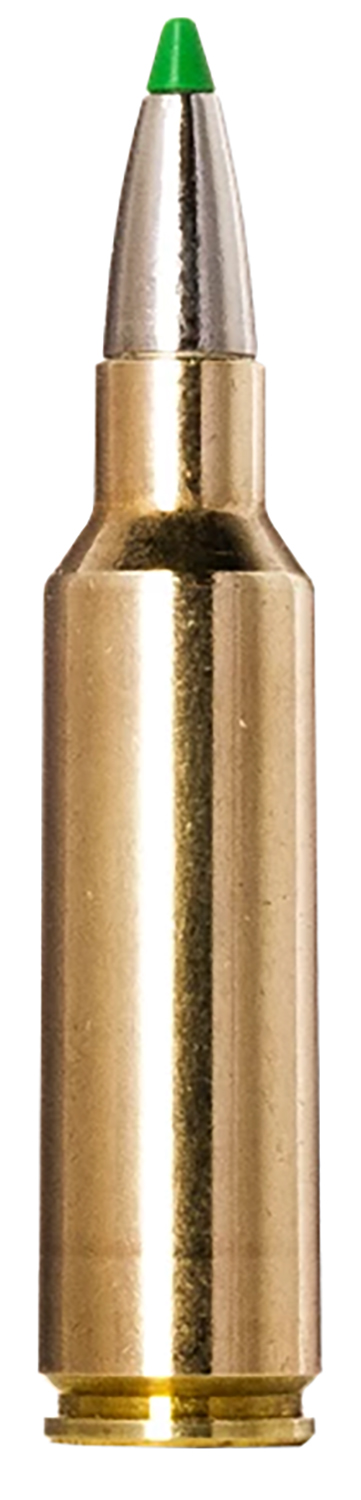 Norma Ammunition 20177512  Ecostrike 300WSM 165gr 20 Per Box/10 Case