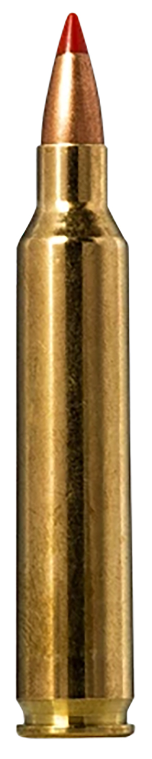 Norma Ammunition 20156502  Tipstrike 204Ruger 40gr V-Max 20 Per Box/10 Case