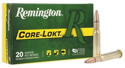 REM 30-40KRAG 180GR CORE PSP20