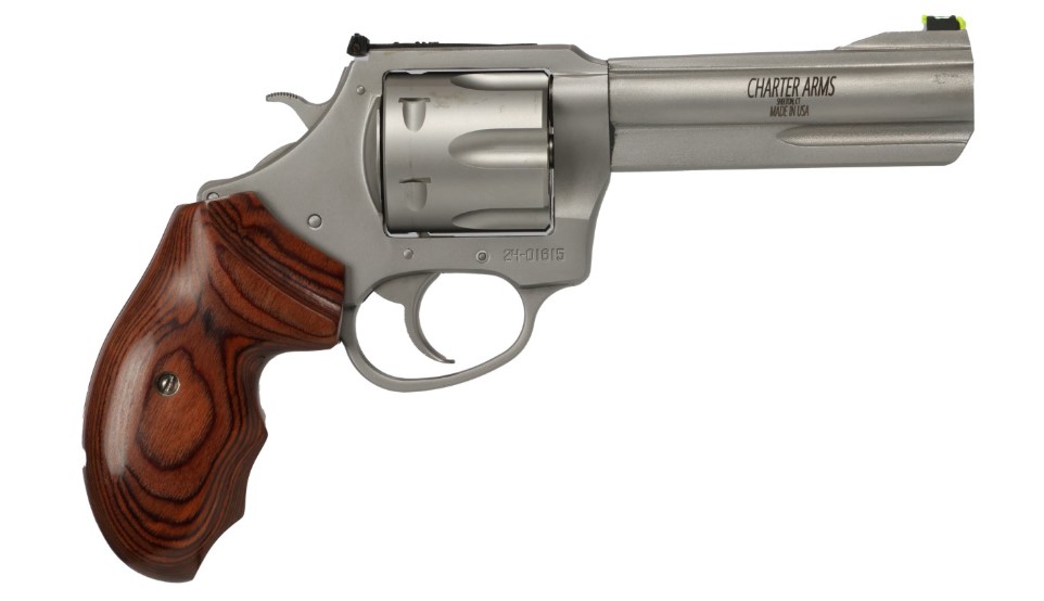 CHARTER ARMS THE PROFESSIONAL 357MAG SS