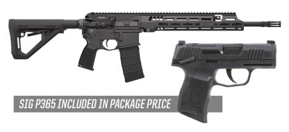 SIG SAUER SIG516 G3 5.56MM BLK 16" FRDM