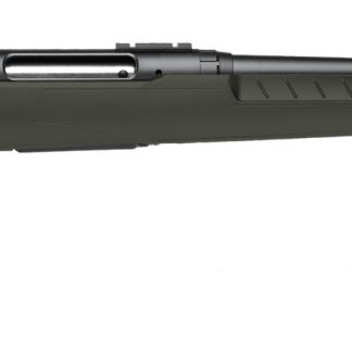 SAVAGE ARMS AXIS 2 243WIN BL/GRN 22"     #
