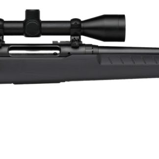 SAVAGE ARMS AXIS 2 223REM BL/GRY 22" PKG #
