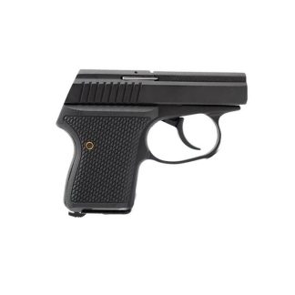 Seecamp LWS-380 Handgun 380 Auto 6rd Magazine 2" Barrel DAO Black Slide Black Grip