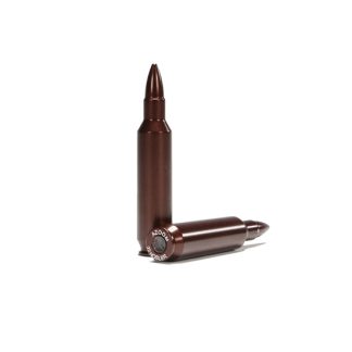 AZOOM 22 NOSLER SNAP CAP 2PK