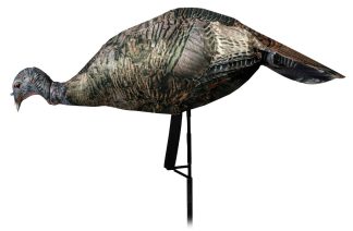 MONTANA DECOY TKY MISS PURR-FECT XD3 HEN