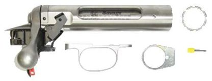 SAV TARGET ACTION SS RB RP 223 CAL BOLT