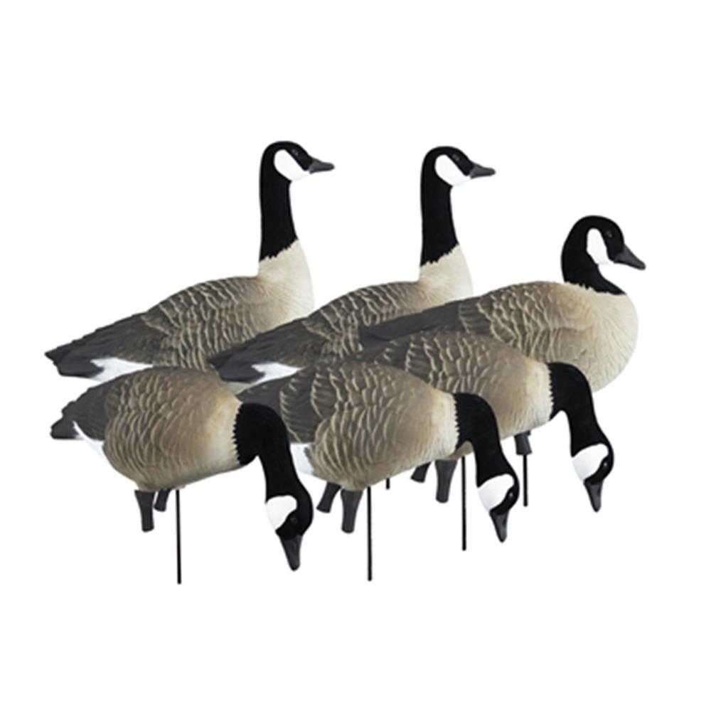 Higdon Outdoors APEX Full-Size Full-Body Variety Pack - Canada Goose