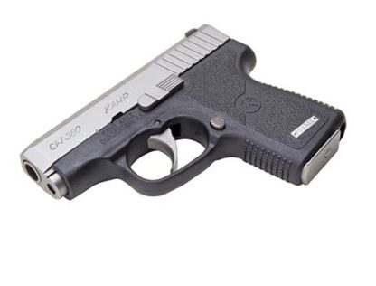 CW380 .380 ACP 2.5' Black/STS w/6rd Mag Front Night Sights
